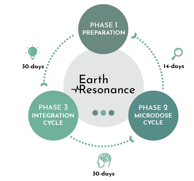 Your Complete Microdosing Journey 2.png__PID:f8d9a47b-23b0-4d49-9e39-ff0636247f68