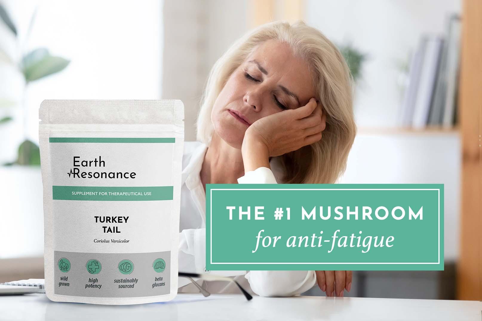 The Fatigue Fighting Fungi: the Power of Turkey Tail - Earth Resonance