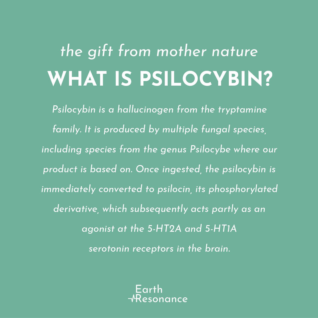Hoe kan psilocybine je helpen? - Earth Resonance