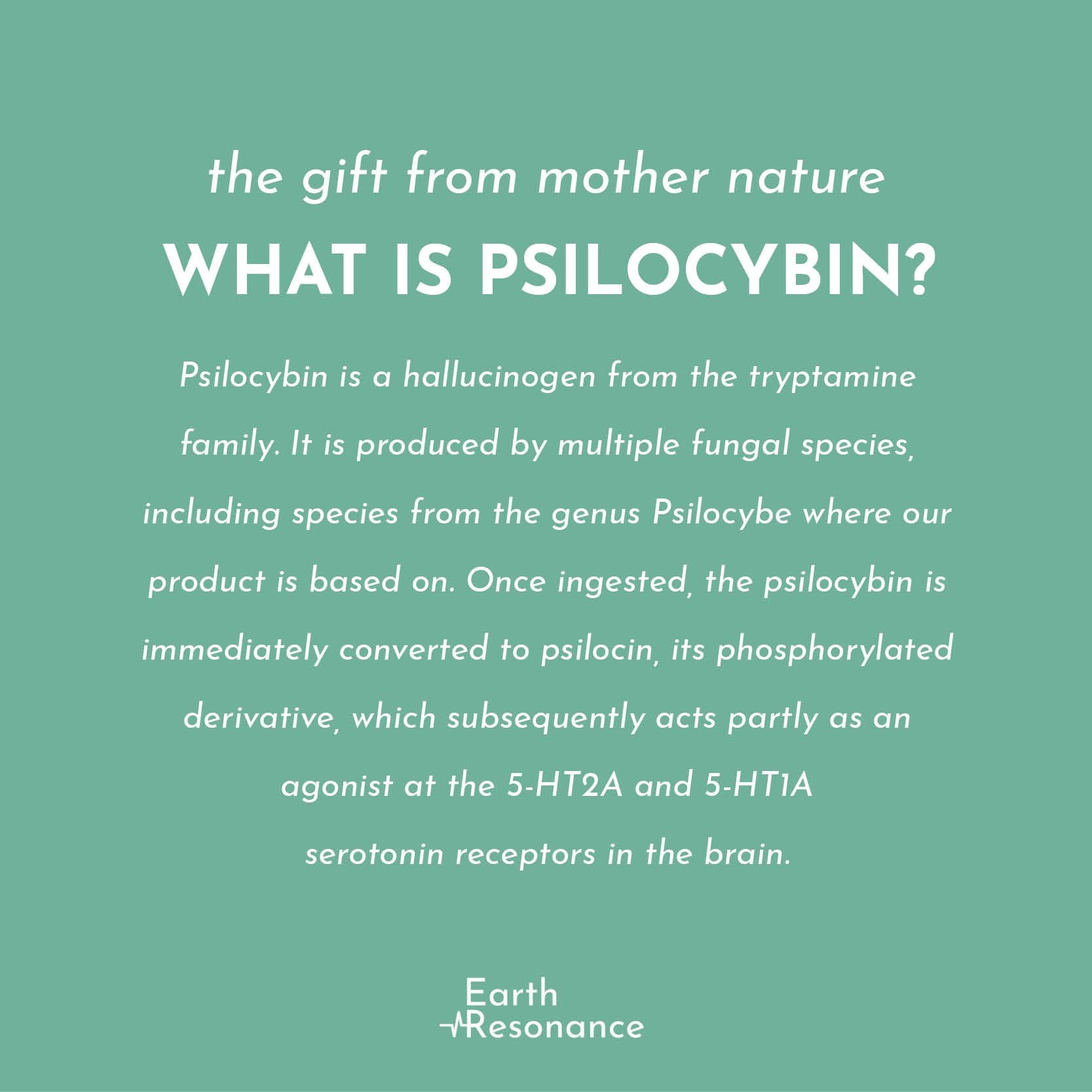 Hoe kan psilocybine je helpen? - Earth Resonance