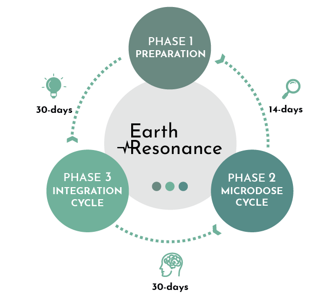 Your Complete Microdosing Journey 2.png__PID:f8d9a47b-23b0-4d49-9e39-ff0636247f68