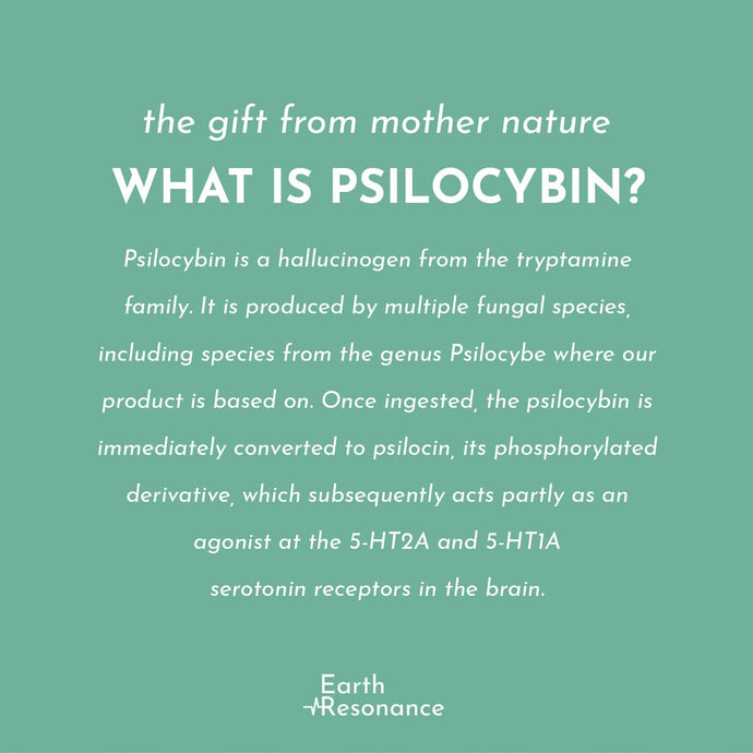 How can Psilocybin help you?